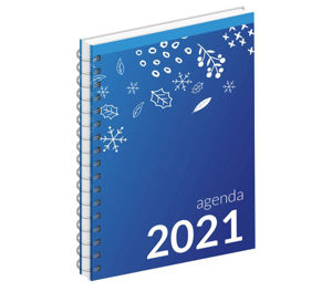 Afbeelding van Zorgagenda Academisch formaat (2021)